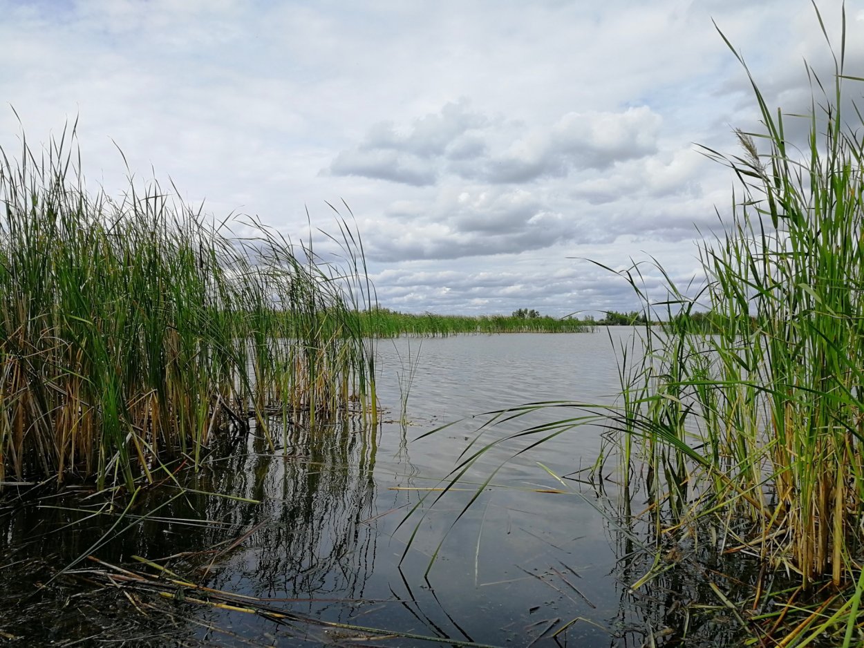 Камыш-Самарские озёра