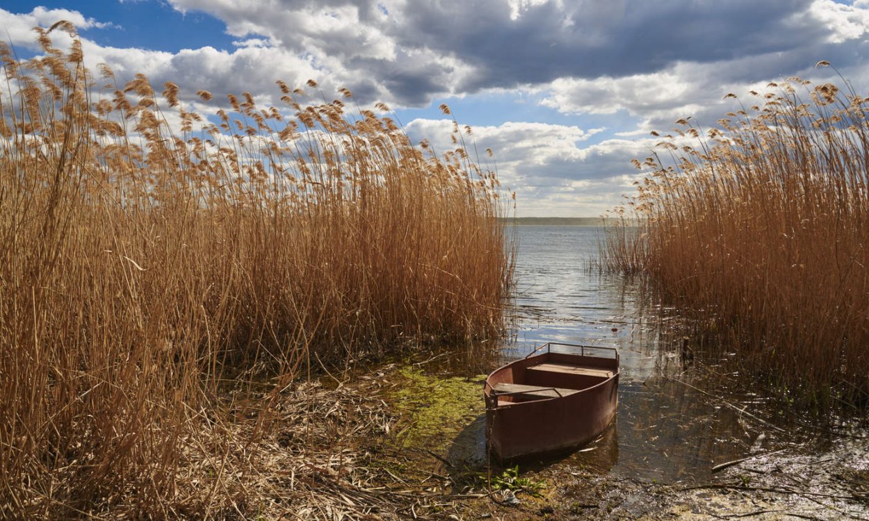 Камыш-Самарские озёра
