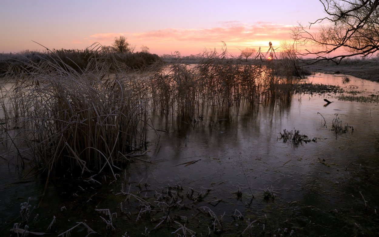 Болото вечером