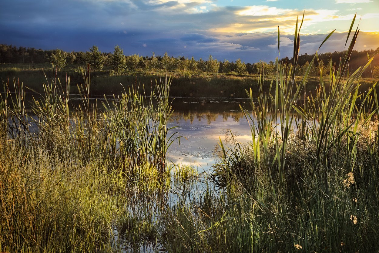 Камыш-Самарские озёра