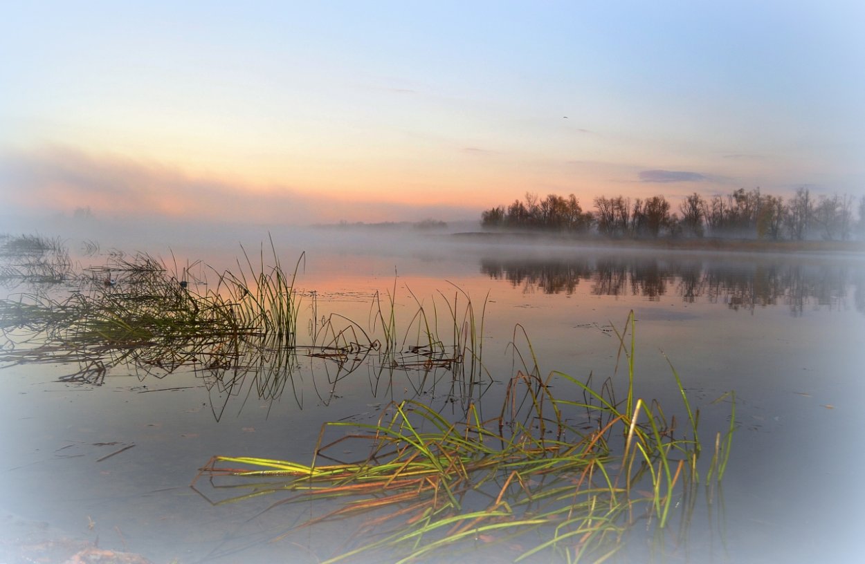 Кубанские Плавни Александра Эсмонда