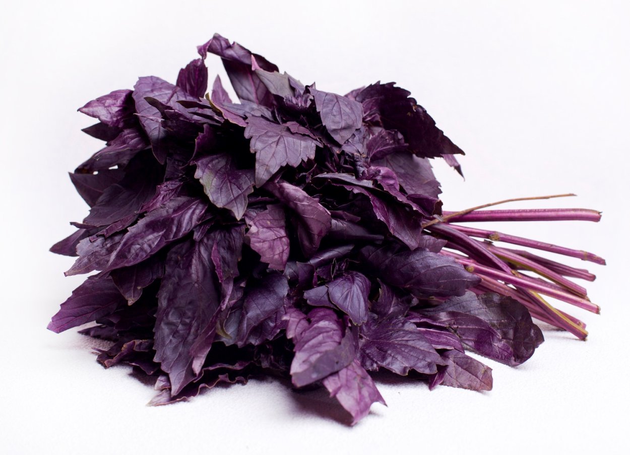 Базилик Рейхан