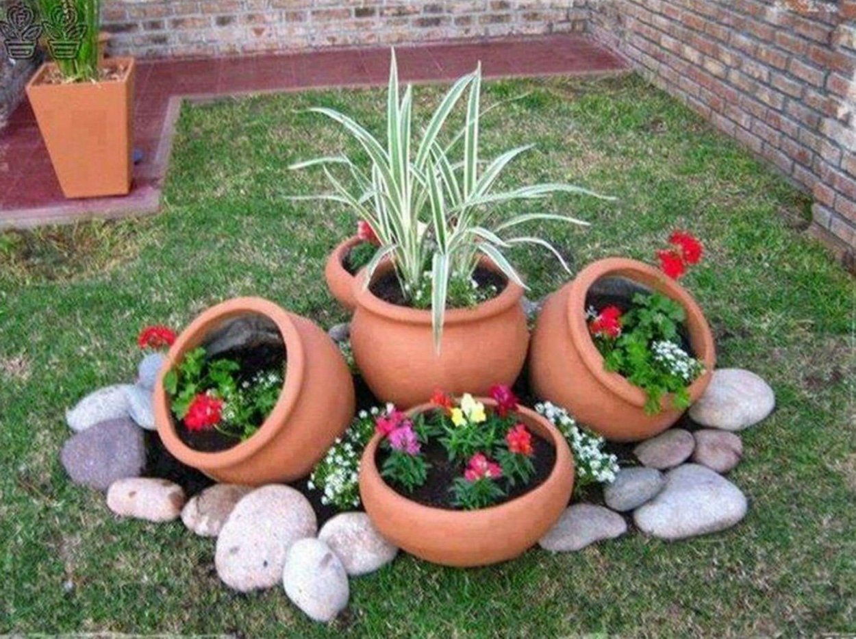 Эшшольция агератум рабатка