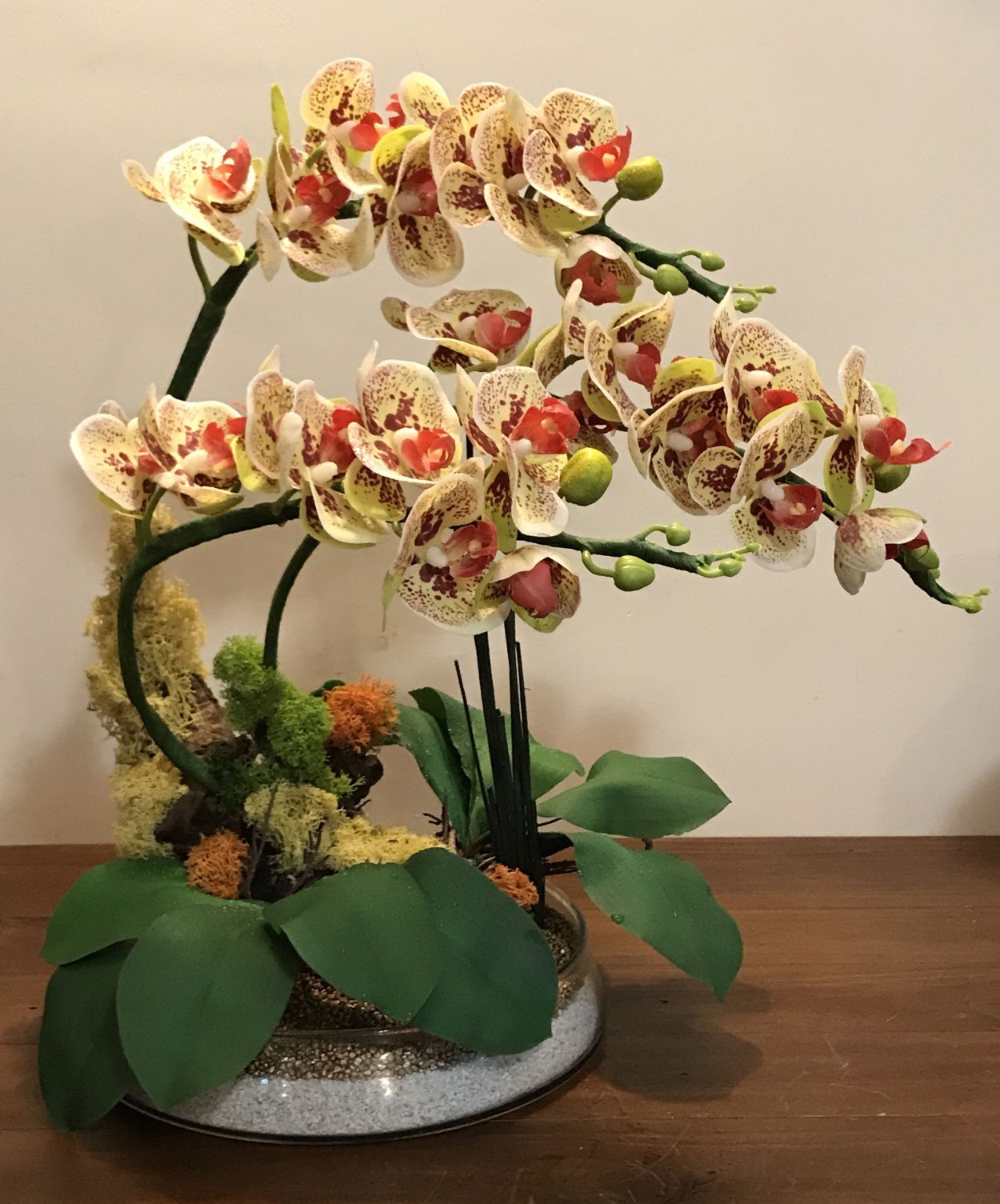 Эквестрис Альба Орхидея