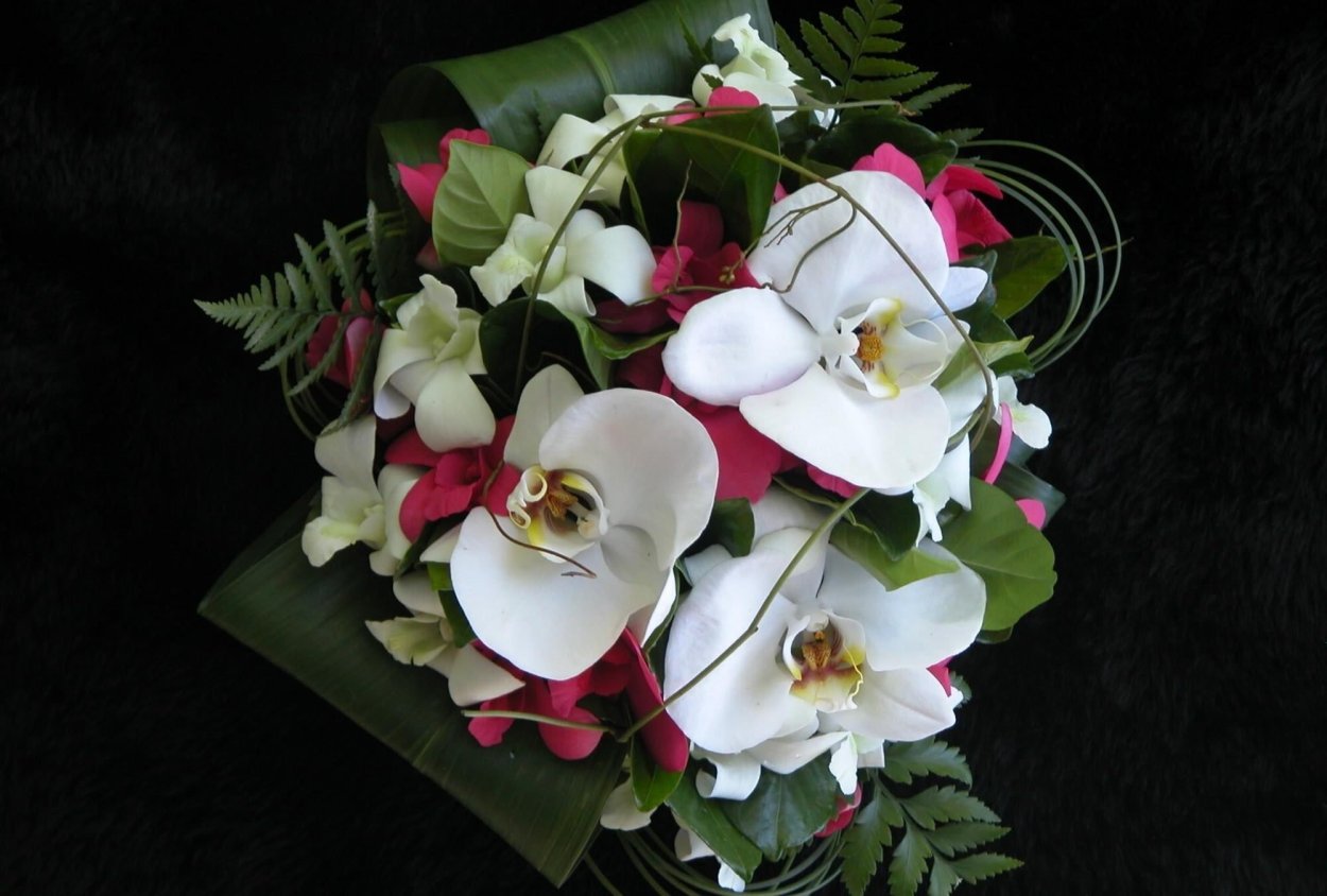 Цветы орхидеи букет