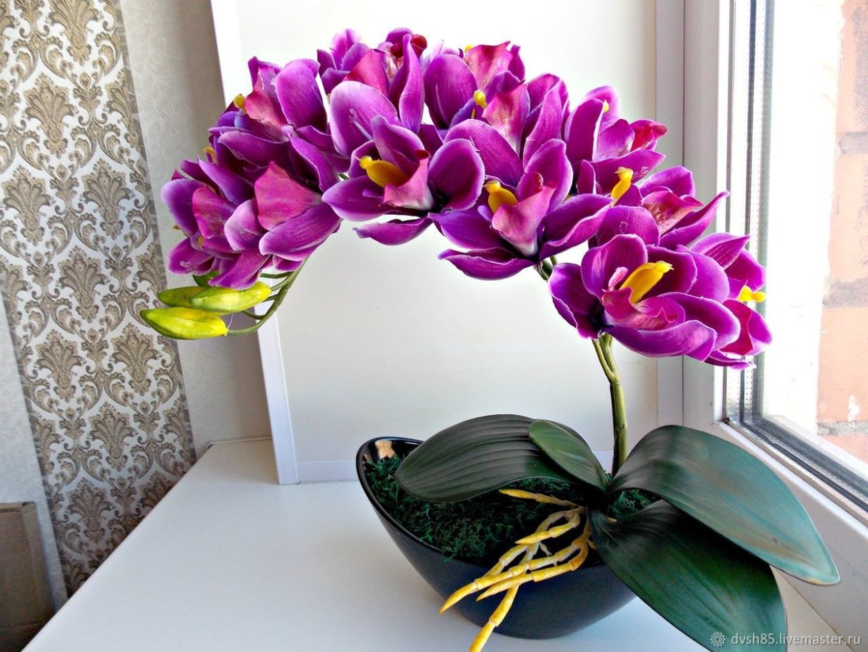 Композиции из живых орхидей