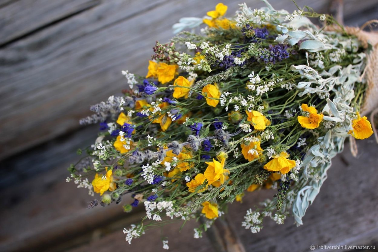 Цветы акварелью для детей