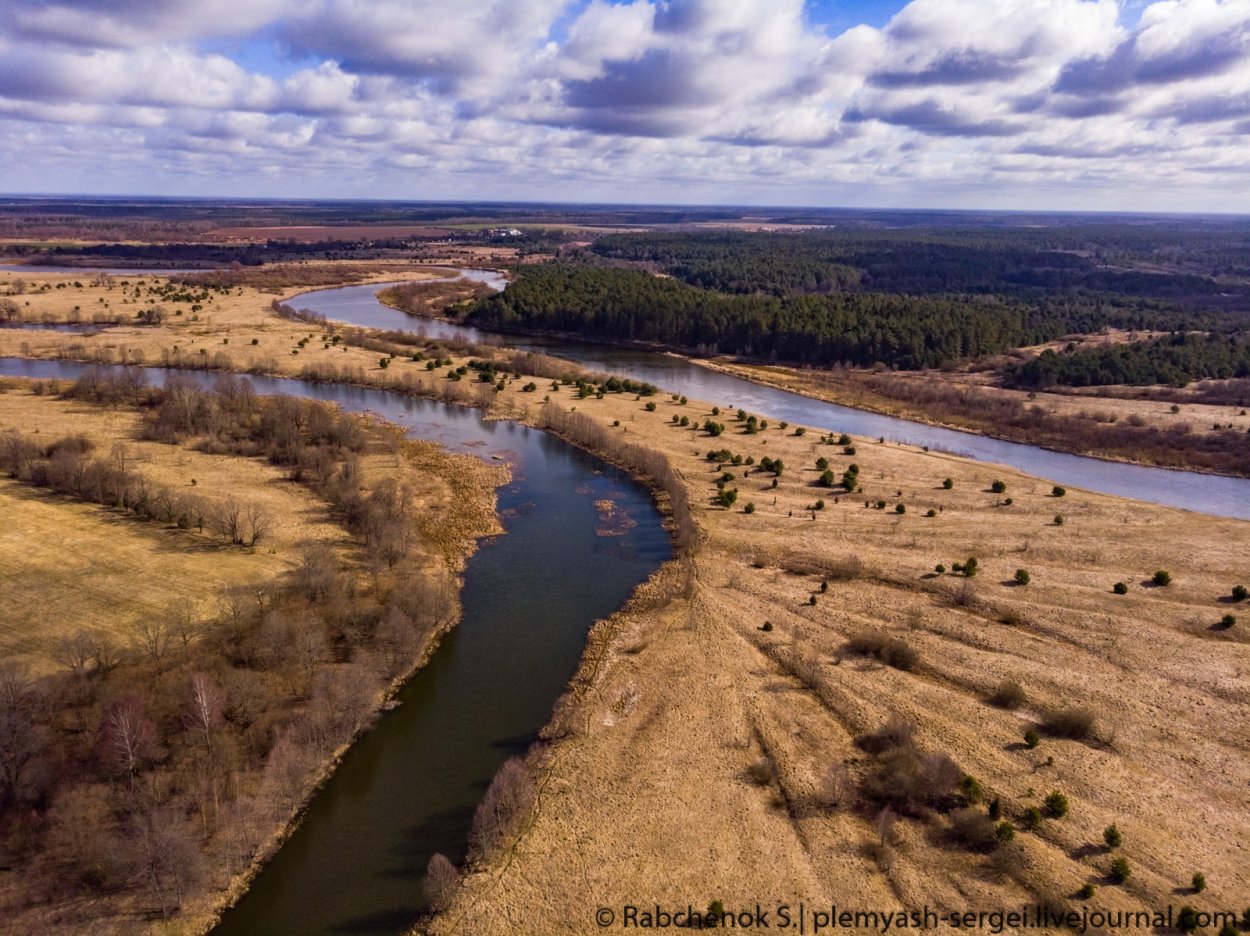 Растения реки Неман
