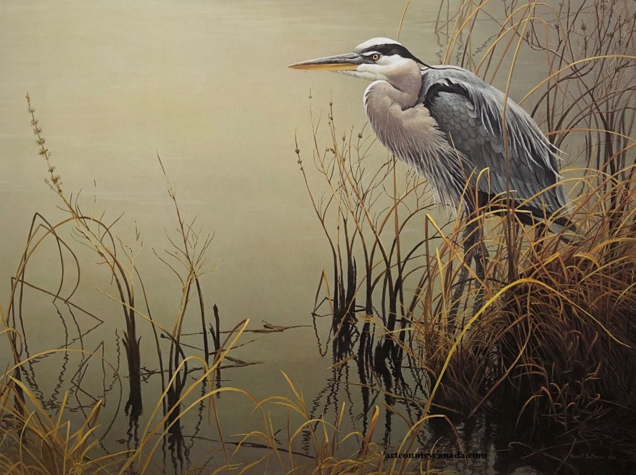 Животные дельты Волги