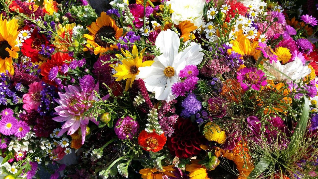 Букет полевых цветов