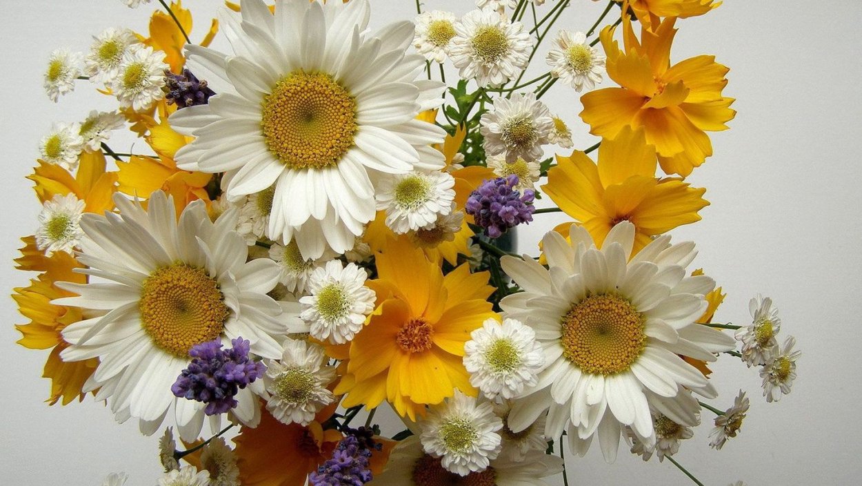 Букетик полевых цветов