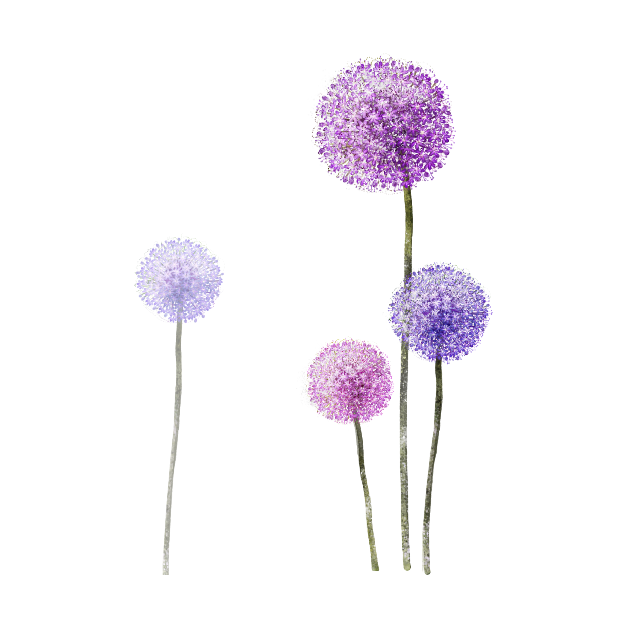 Декоративный лук акварелью