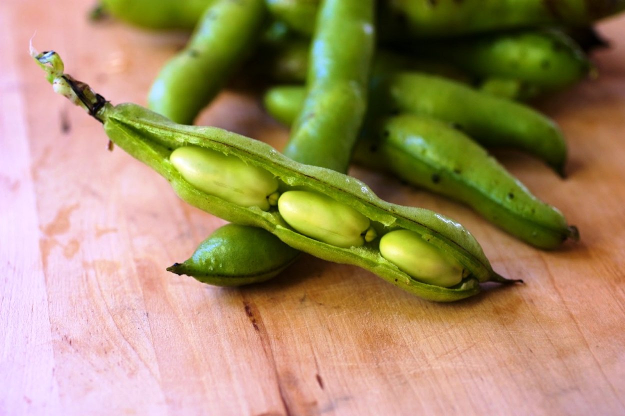 Бобовый стручок