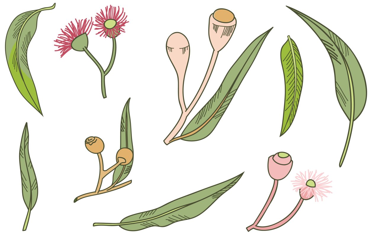 Полезный зеленый горошек