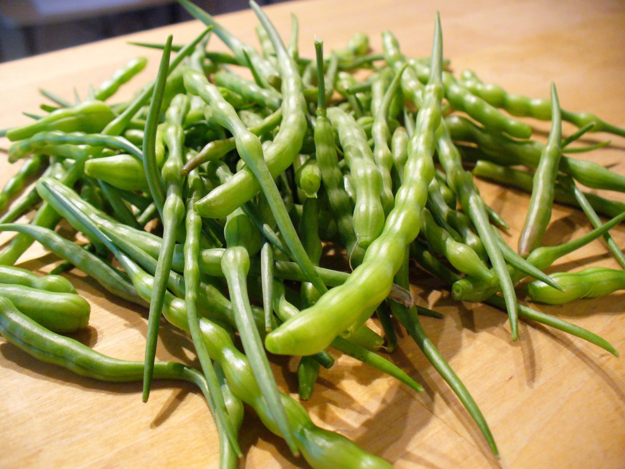 Гавриш горох сахарный стручок