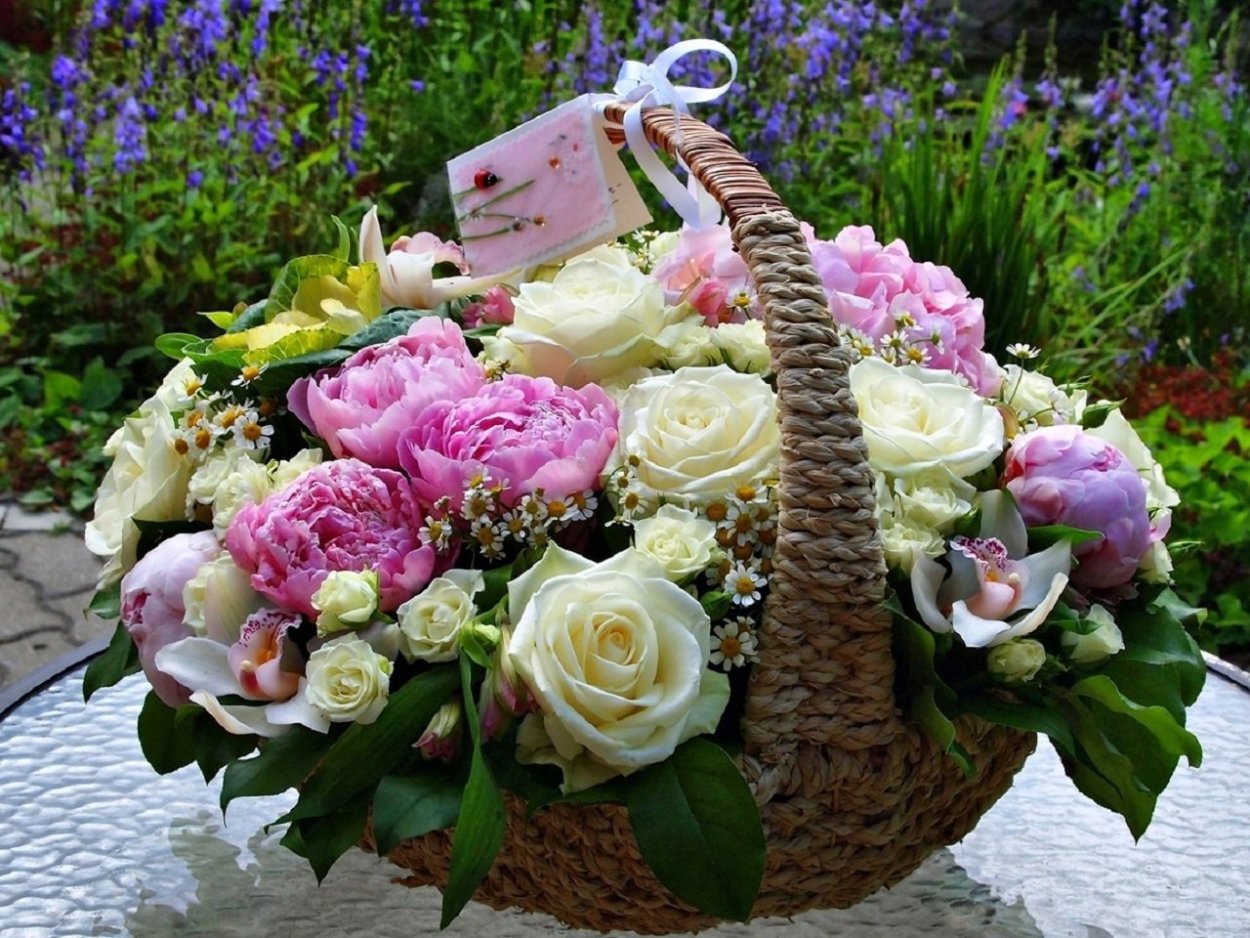 Орхидея Букетная