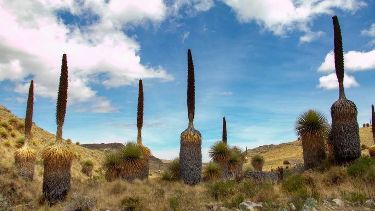 Те Пуйя новая Зеландия