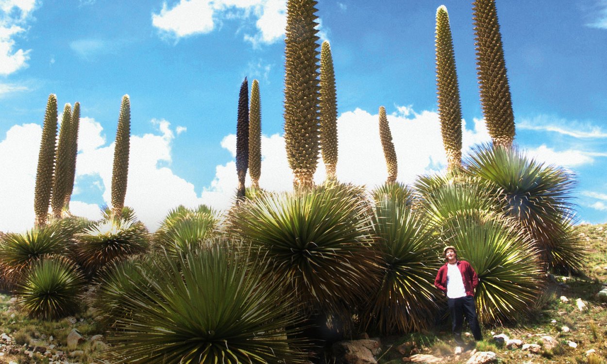 Пуйа Мохсени