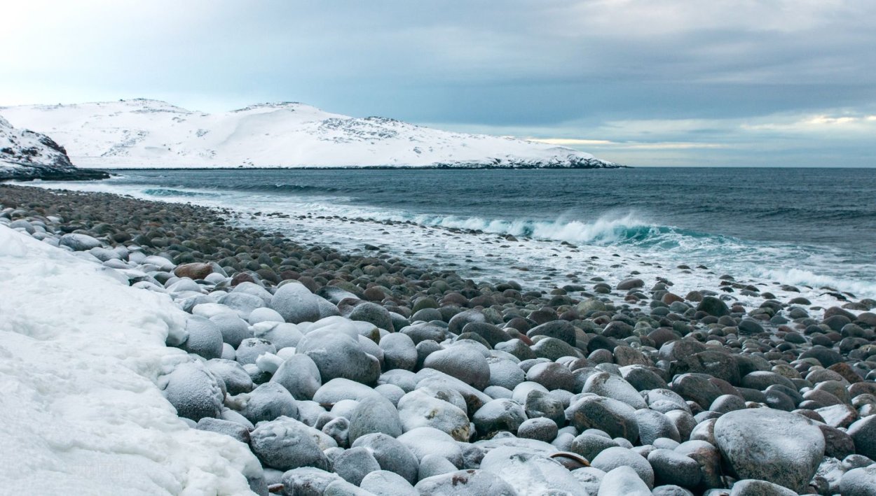 Кораллы Северного Ледовитого океана