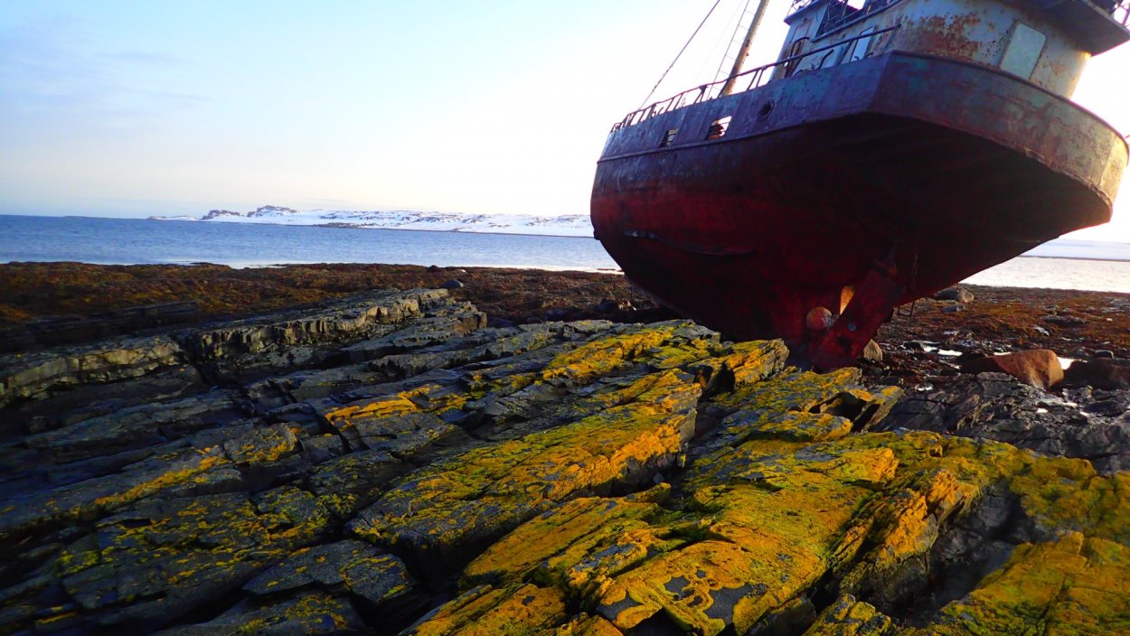 Териберка тундра