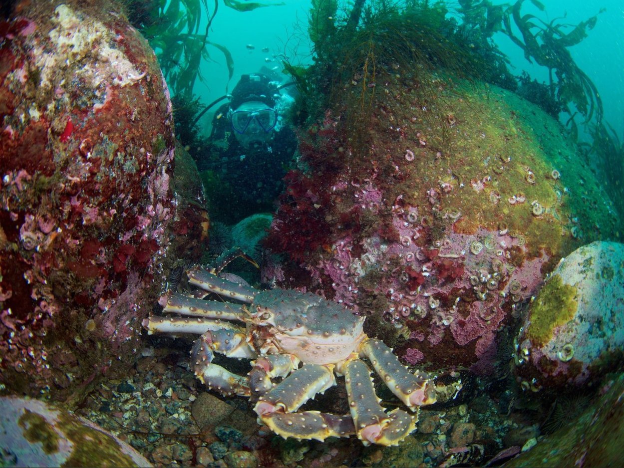 Териберка ландшафт