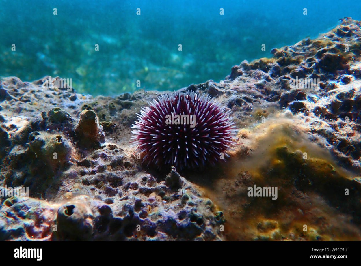 Кольский полуостров Кандалакша