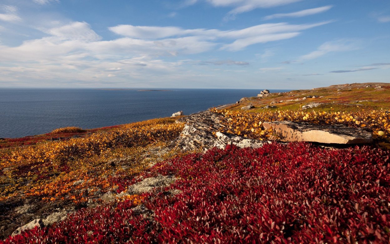 Бузречка Кольский полуостров