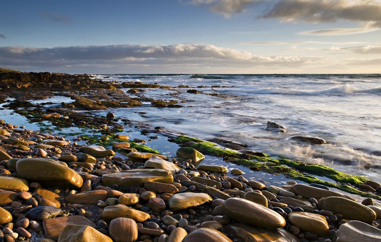 Вереск Мурманск