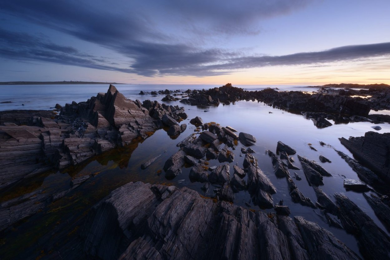 Подводный мир Баренцева моря