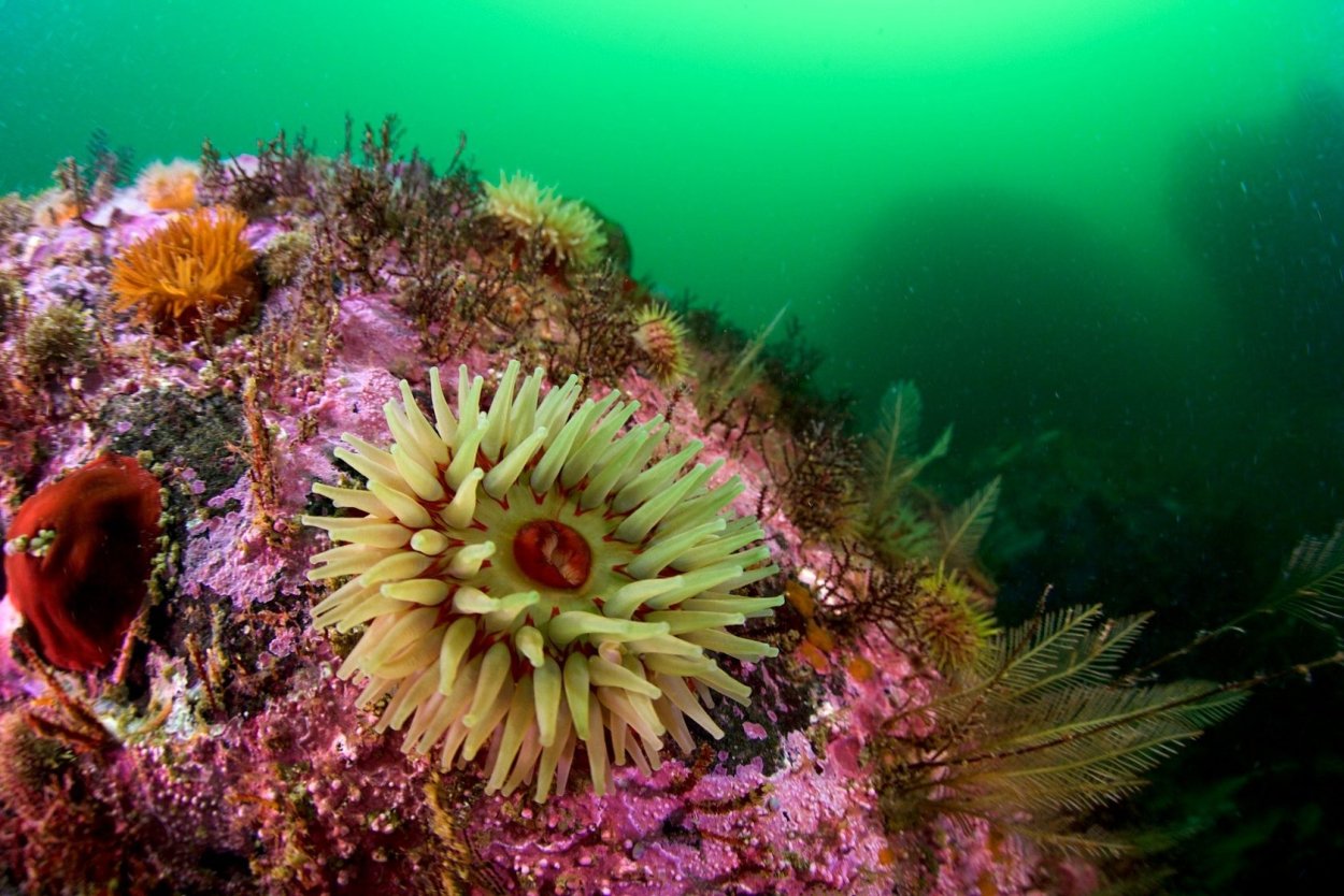 Мыс Рыбачий Кольский полуостров