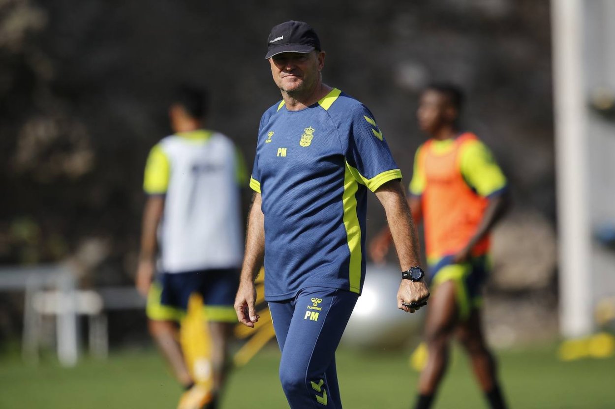 Фаленопсис сорта определитель