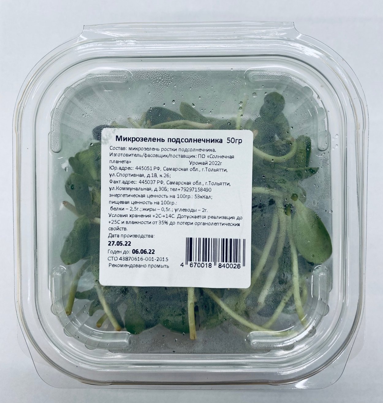 Ростки рассады