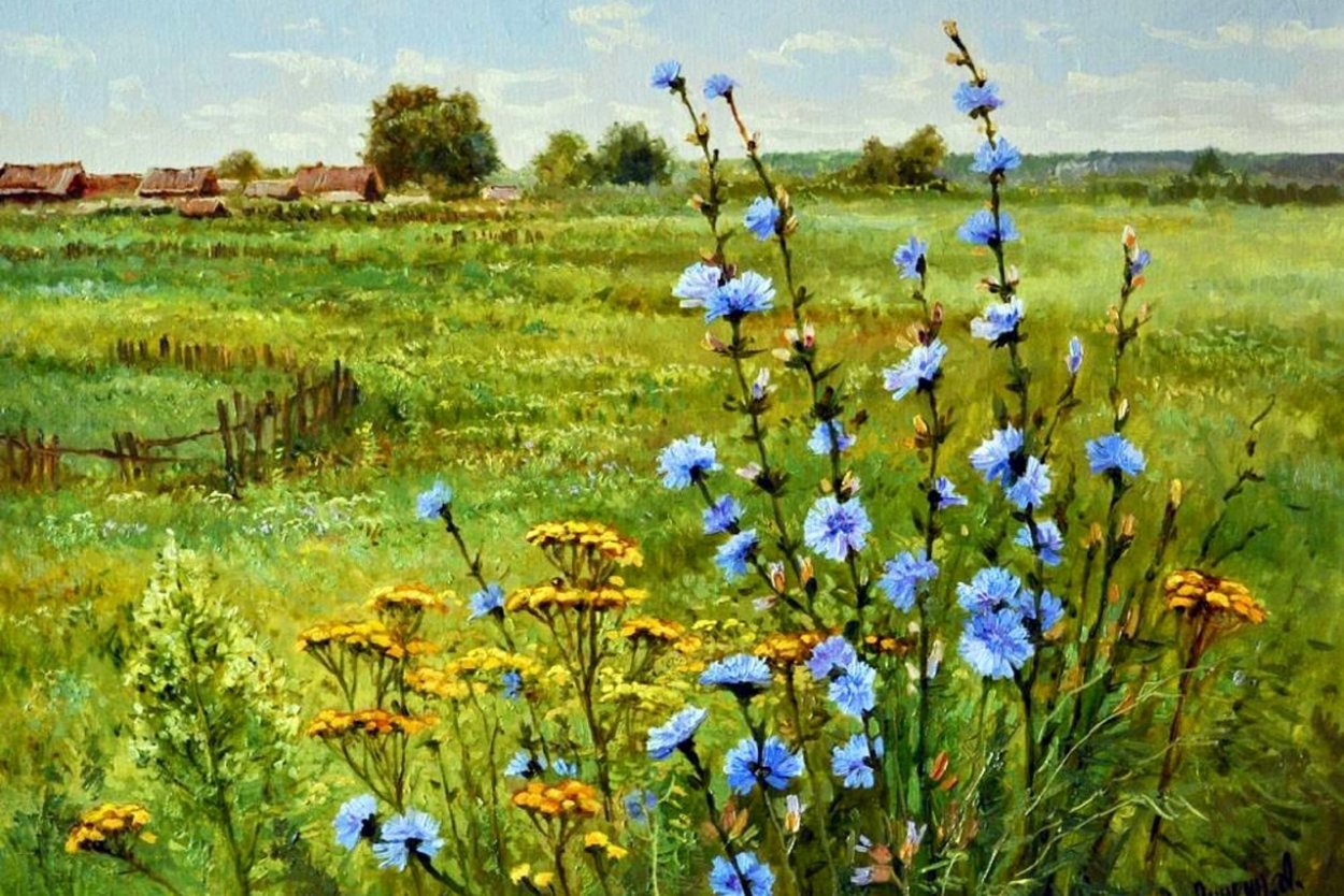 Многолистник Луговой