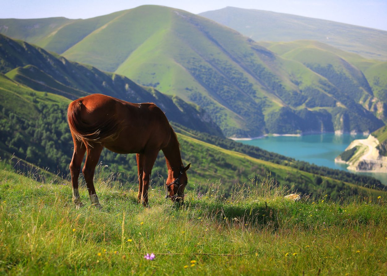 Природа родного края Дагестан