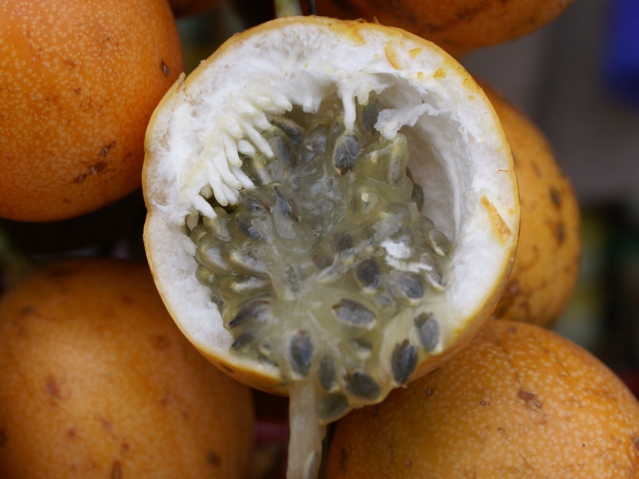 Кислые и сладкие фрукты