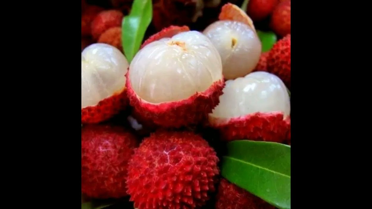 Litchi ягода