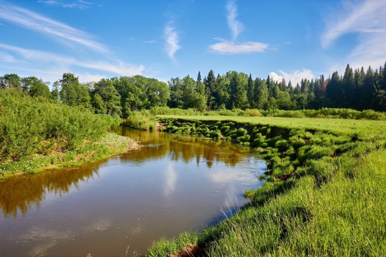 Река Пызеп Удмуртия