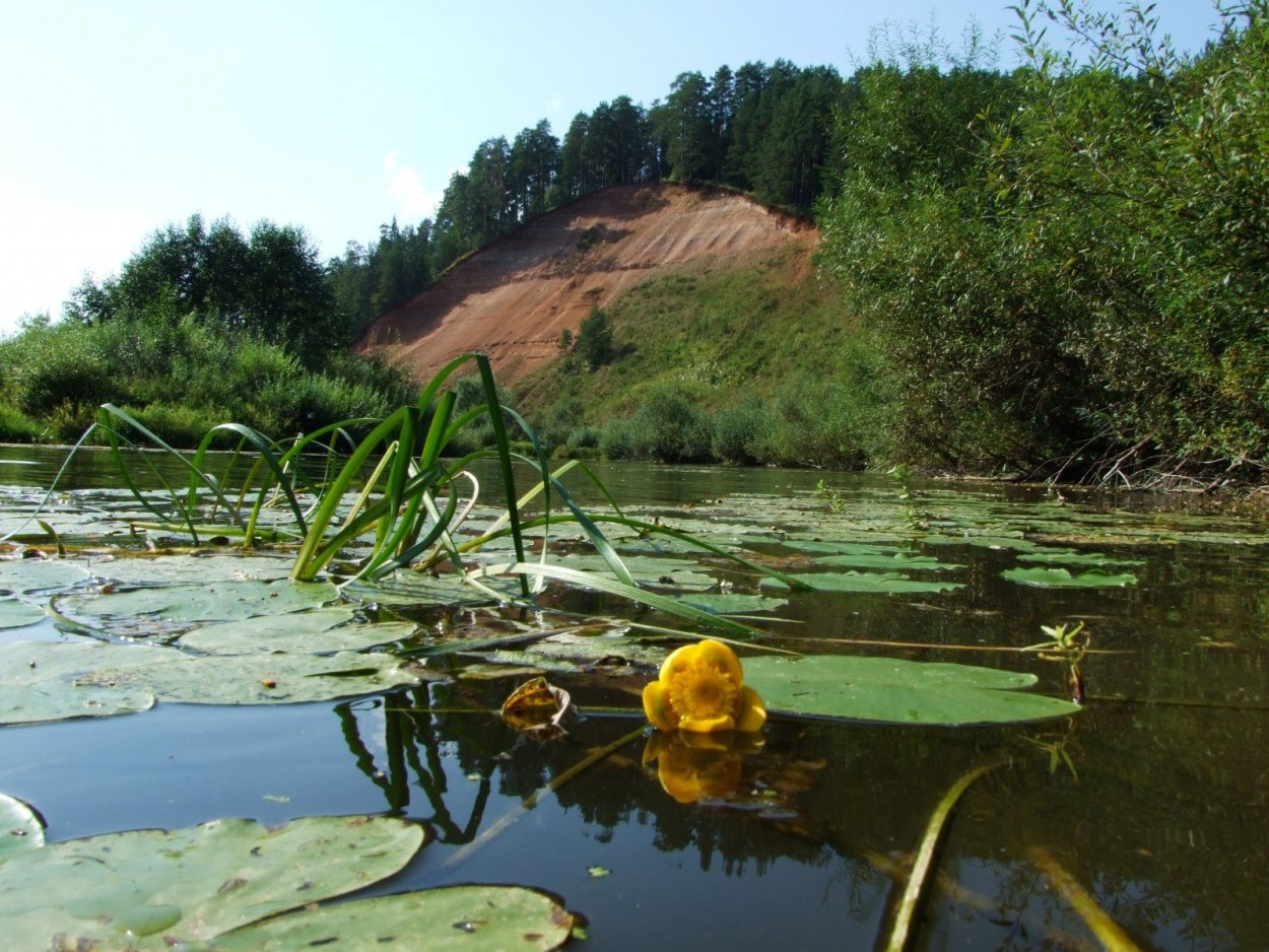 Гора Байгурезь река Чепца