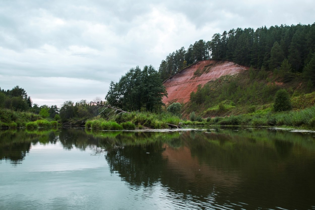 Лесное озеро кувшинки камыш