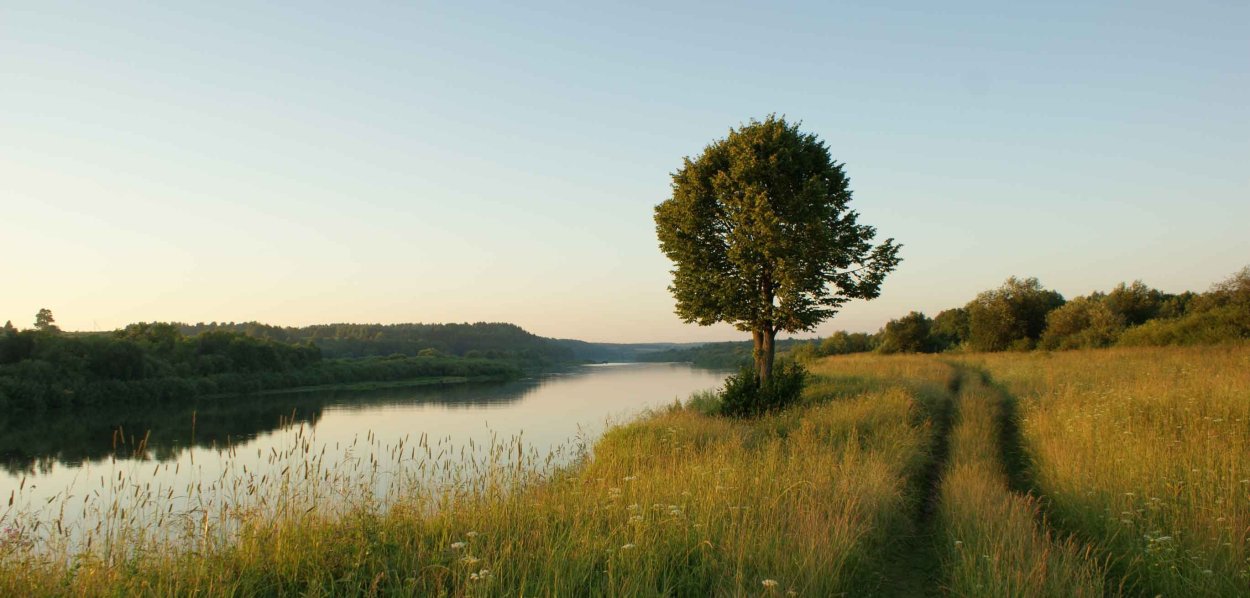 Река Тарбуга