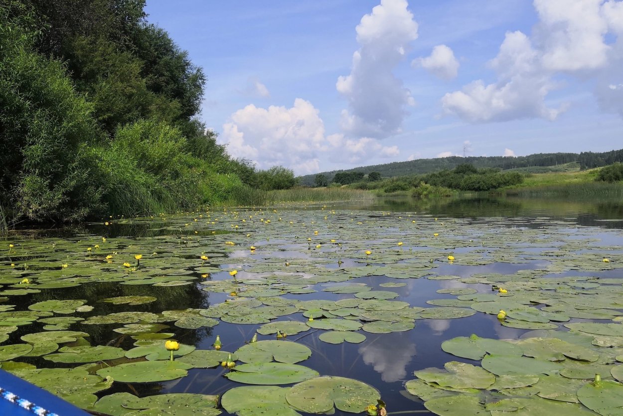 Река Байгурезь Удмуртия