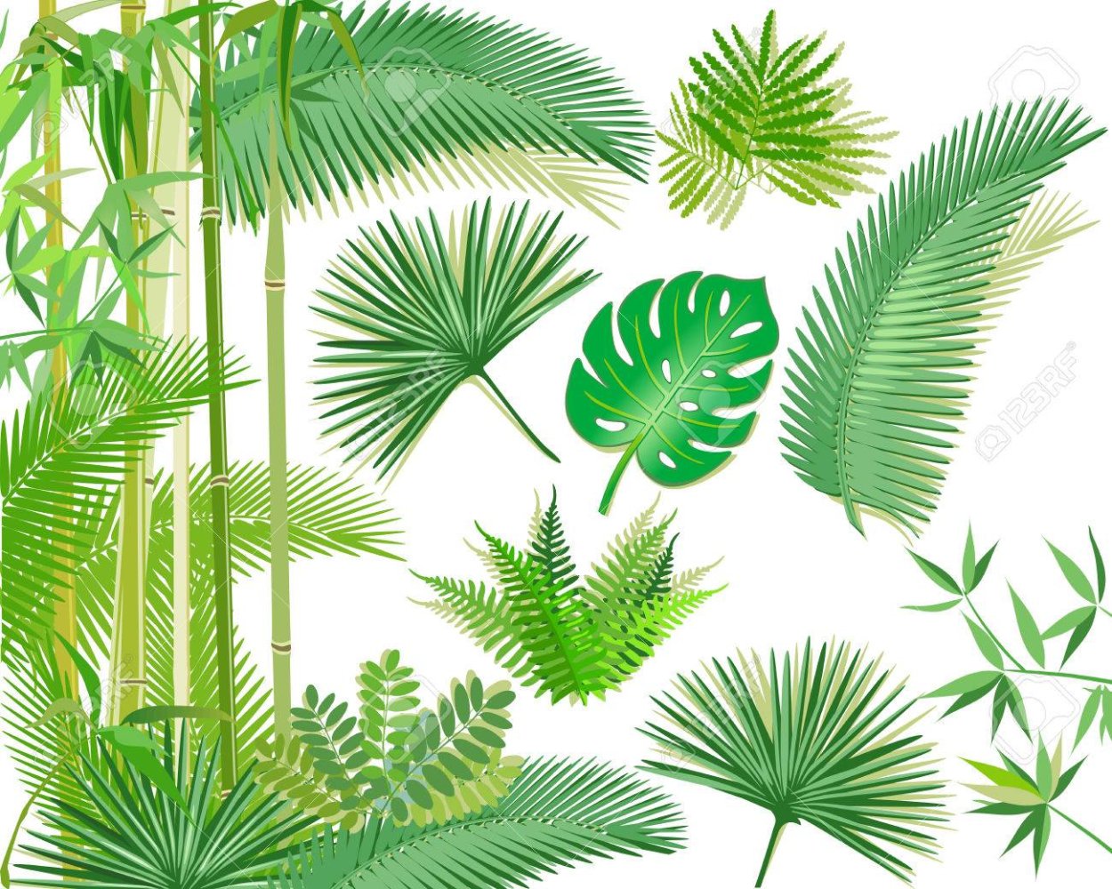 Тропические растения вектор в длину