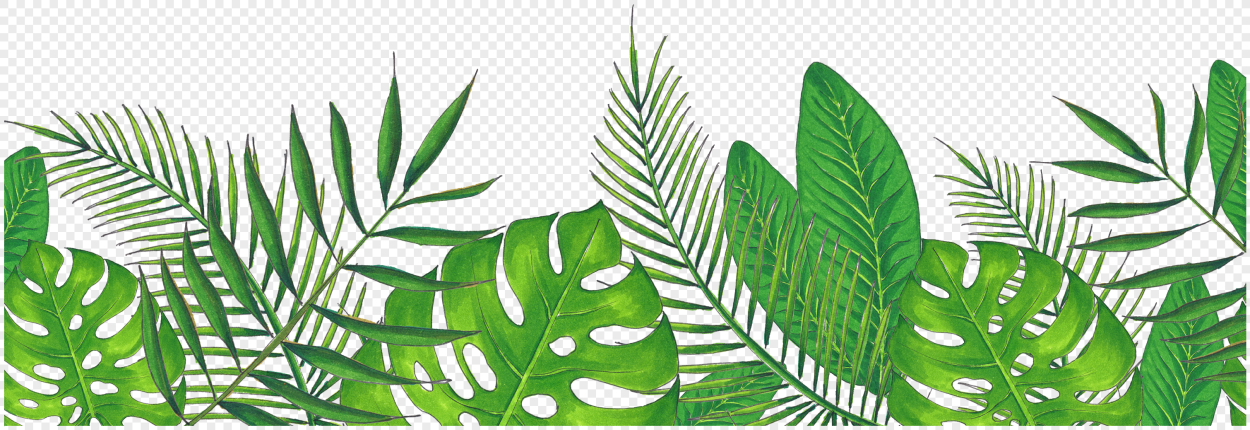 Зелень тропики