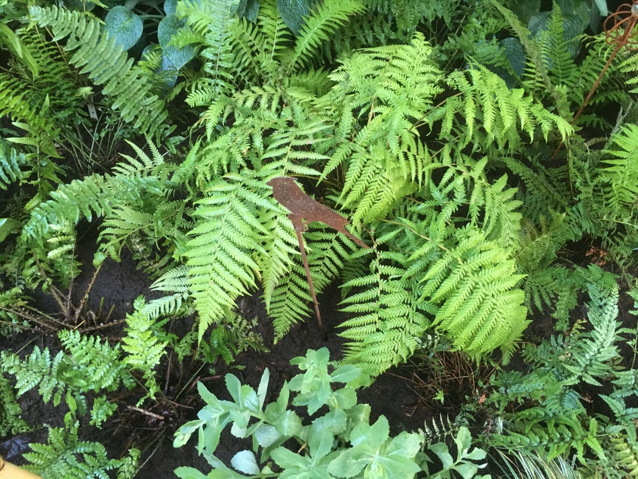 Тропические листья