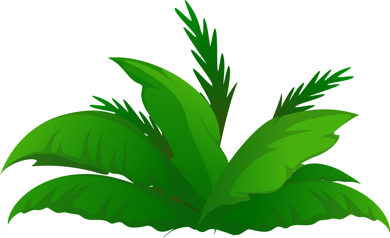 Джунгли панорама