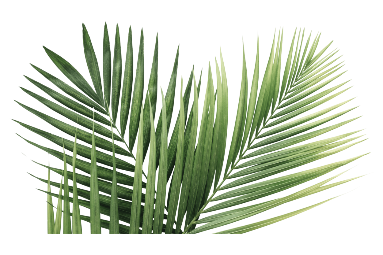 Тропические кусты