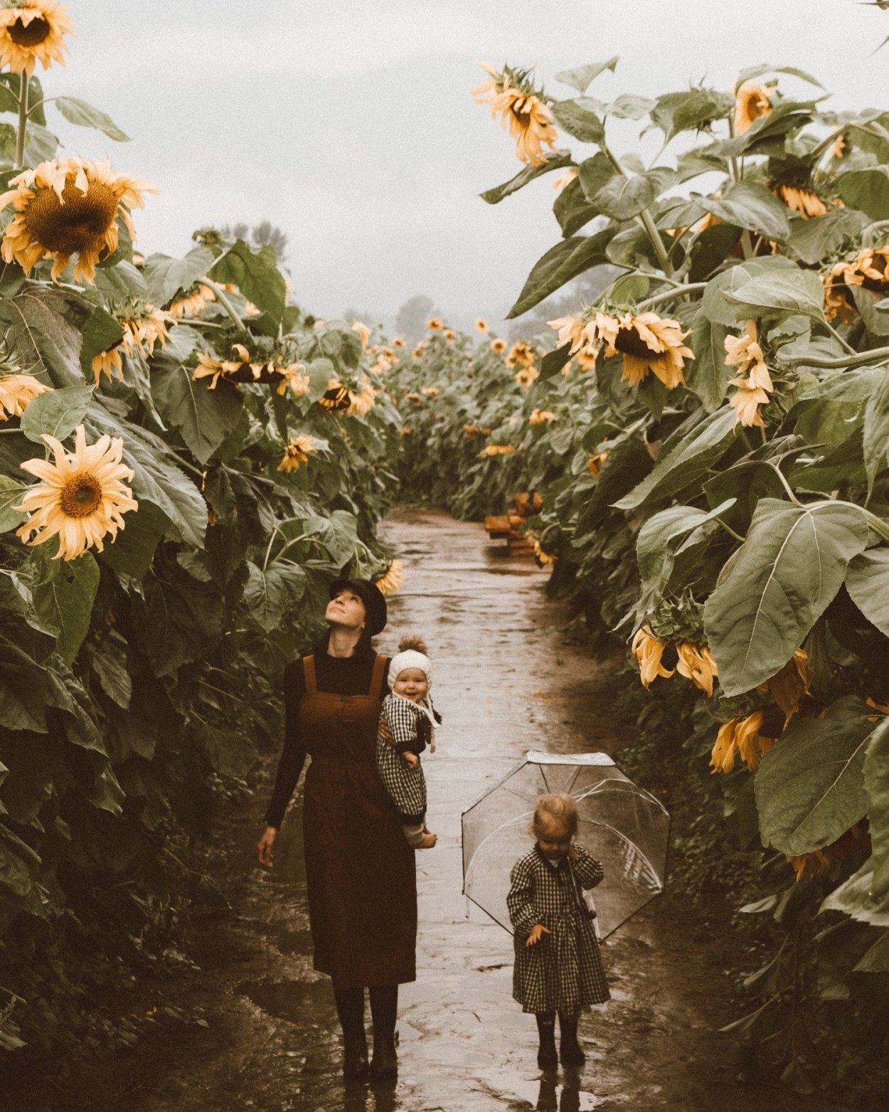 Семья в подсолнухах