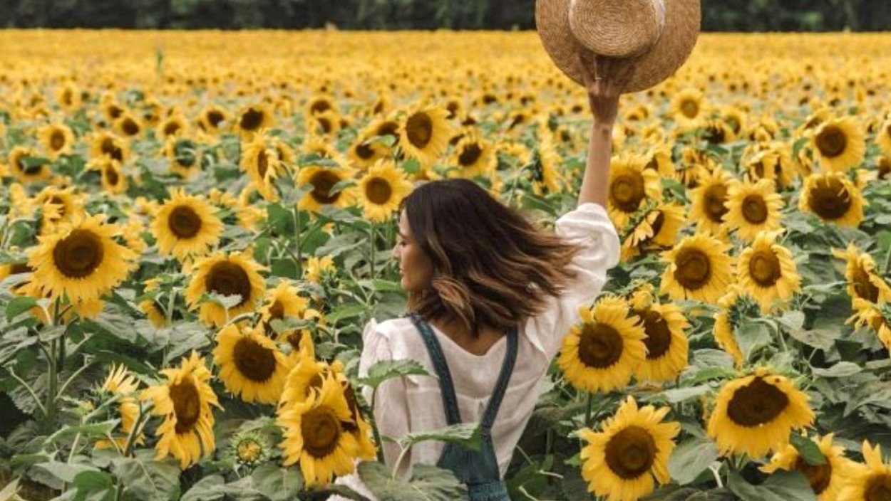 Креатив с подсолнухами