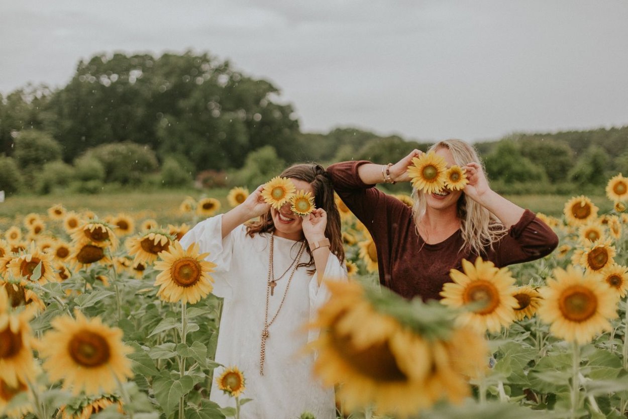 Подсолнух подруги