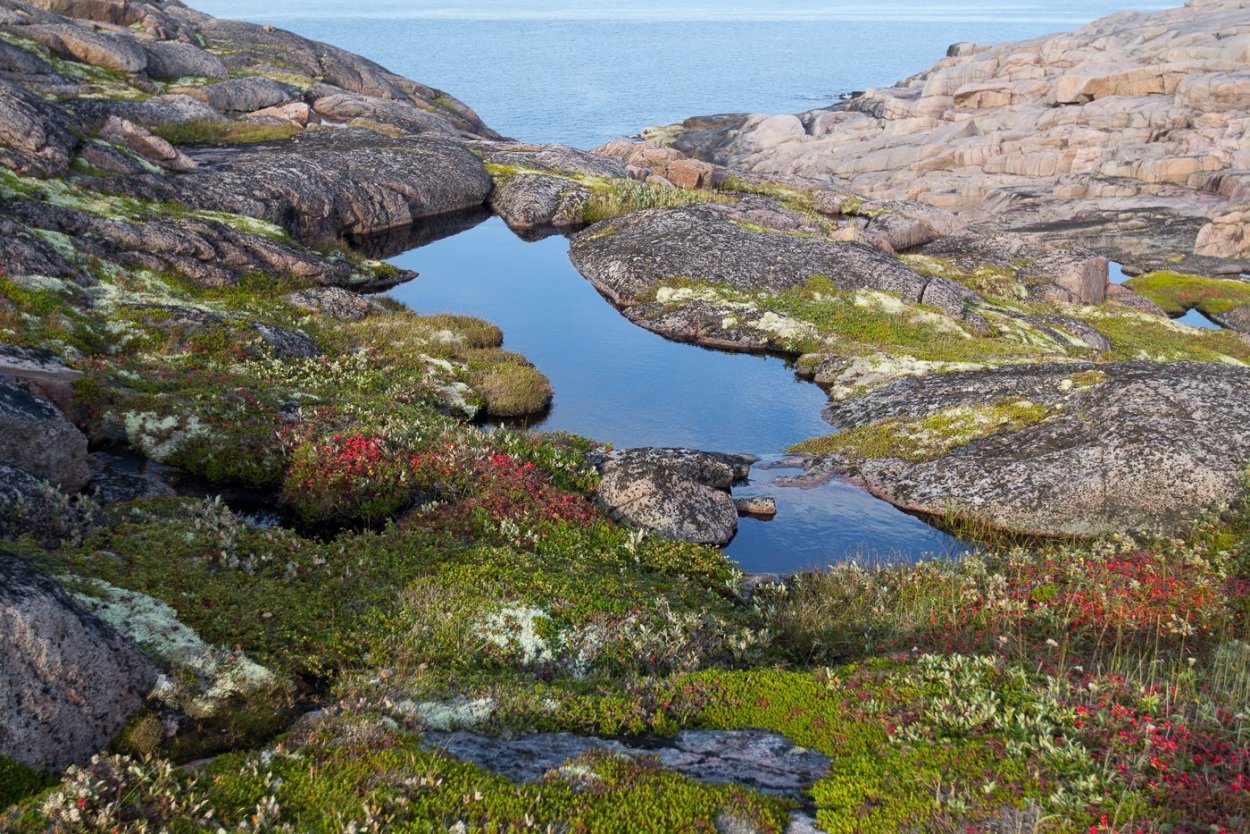 Мурманский Тундровый заповедник